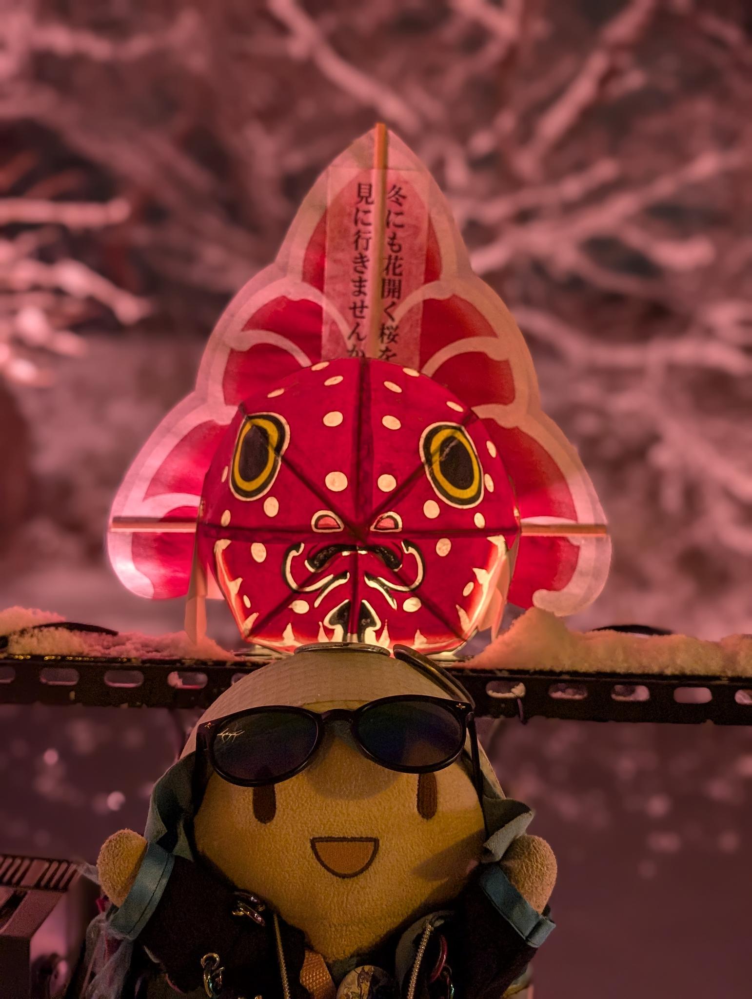 PXL_20241218_101755769.PORTRAIT