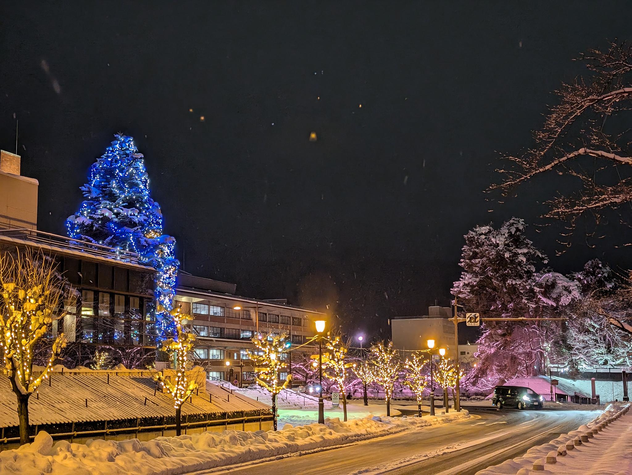 PXL_20241218_101947706