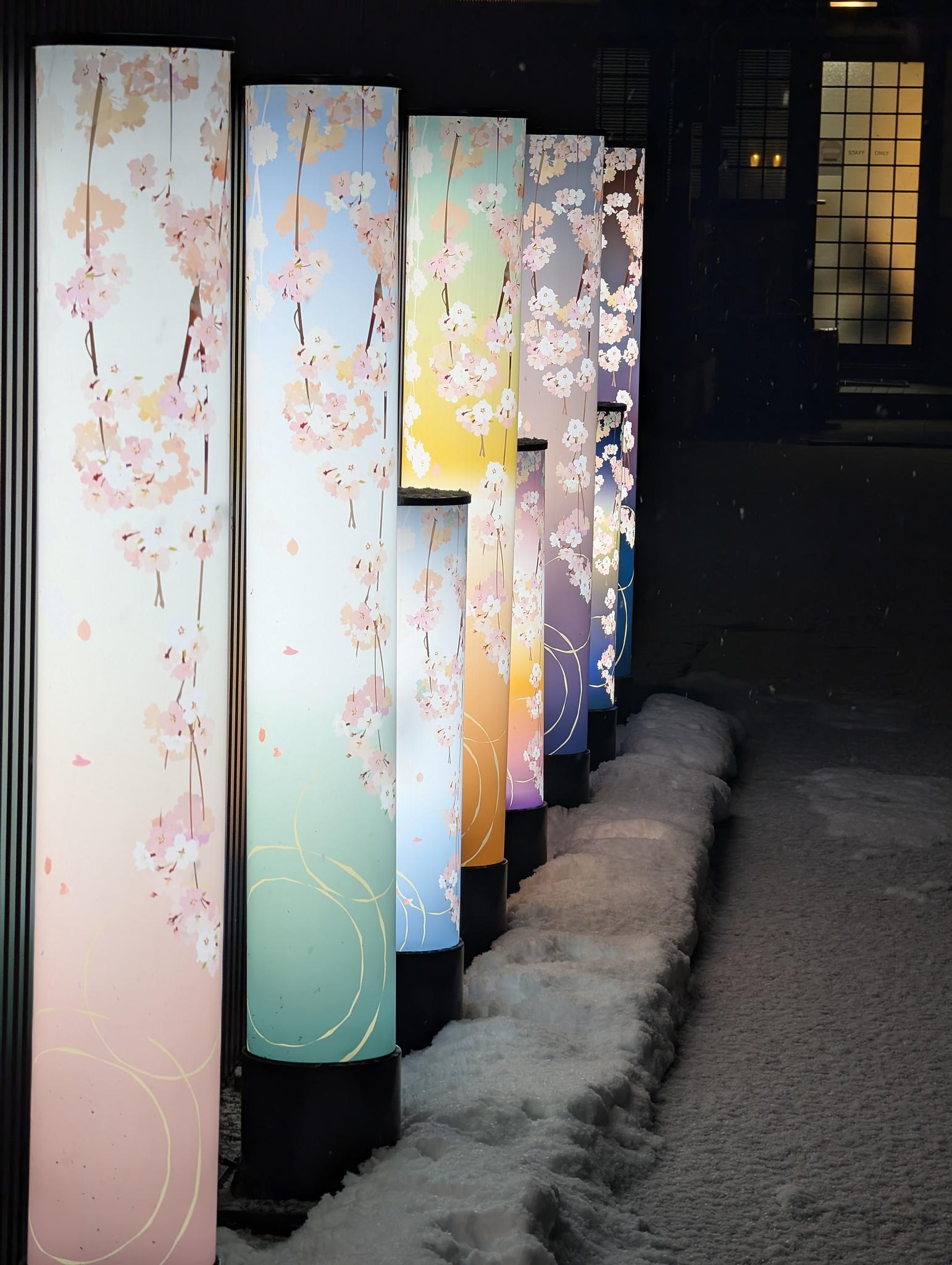 PXL_20241219_080030863